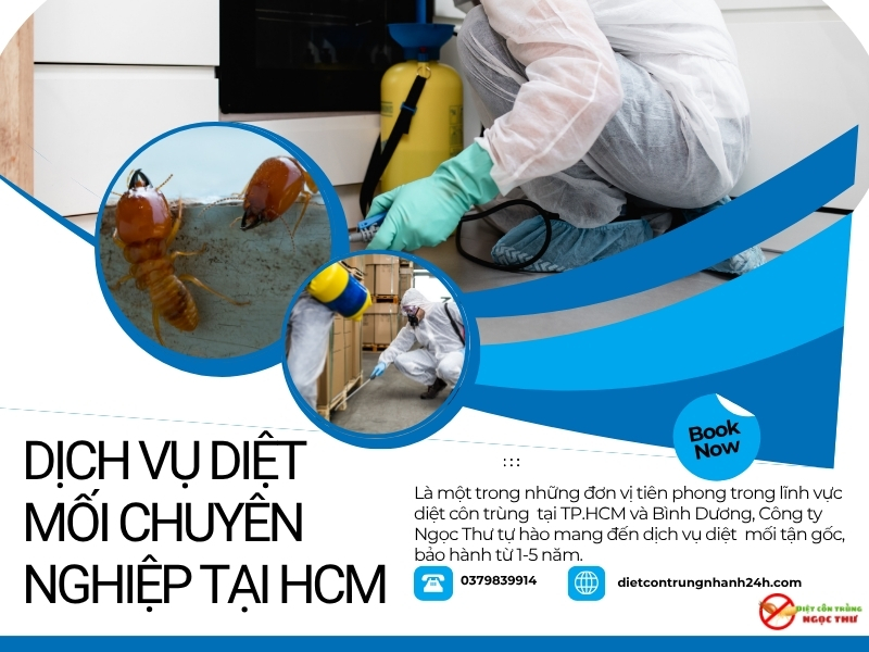 Dịch vụ diệt mối tân bình chuyên nghiệp với hóa chất an toàn, diệt mối tận gốc