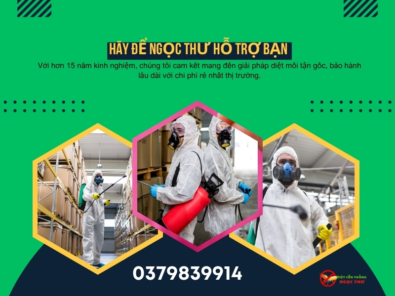 Dịch vụ diệt mối tại Tân Bình từ công ty dịch vụ diệt côn trùng ngọc thư, cam kết diệt mối tận gốc, bảo hành lên đến 5 năm