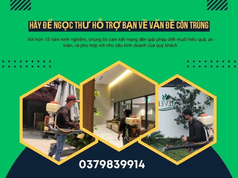 Dịch Vụ Diệt Muỗi Gò Vấp, Công Ty Diệt Muỗi & Côn Trùng TP.HCM ✹✹ 2 Dịch vụ diệt muỗi Gò Vấp hiệu quả, an toàn