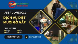 Dịch vụ diệt muỗi gò vấp uy tín
