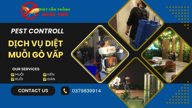 Dịch Vụ Diệt Muỗi Gò Vấp, Công Ty Diệt Muỗi & Côn Trùng TP.HCM ✹✹ 1 Dịch vụ diệt muỗi gò vấp uy tín