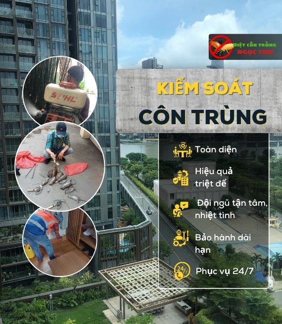 Trang chủ 58 Dịch vụ kiểm soát côn trùng toàn diện Ngọc Thư