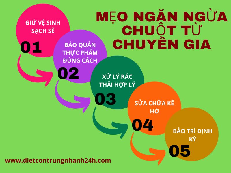 Mẹo ngăn ngừa chuột