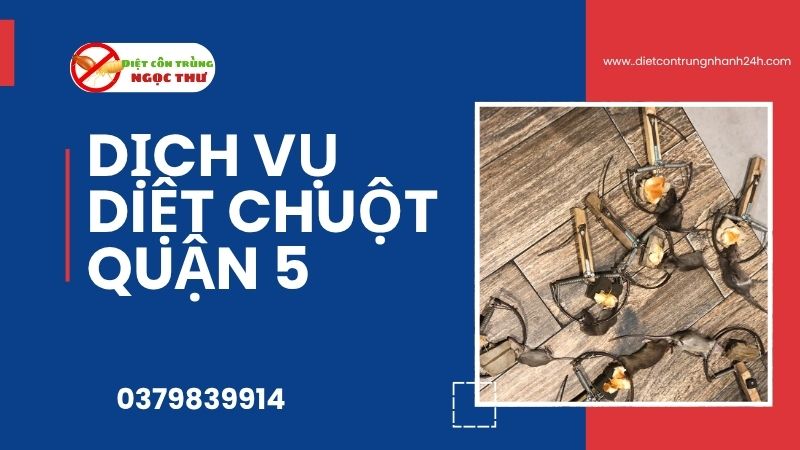 Dịch Vụ Diệt Chuột Quận 5, Công Ty Diệt Chuột & Côn Trùng Tại Quận 5 ✪✪ 1 Dịch vụ diệt chuột quận 5 Ngọc Thư