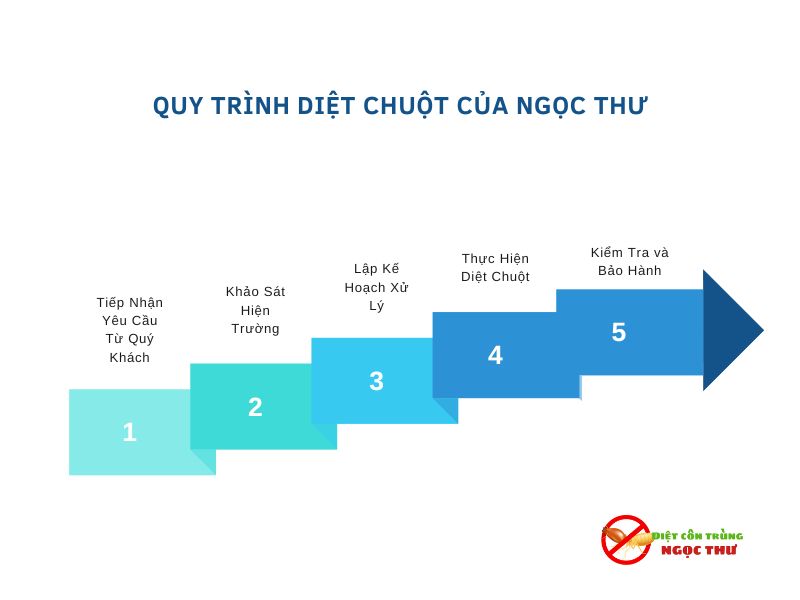 Dịch Vụ Diệt Chuột Quận 5, Công Ty Diệt Chuột & Côn Trùng Tại Quận 5 ✪✪ 3 Quy trình diệt chuột quận 5