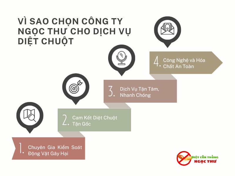 Dịch Vụ Diệt Chuột Quận 5, Công Ty Diệt Chuột & Côn Trùng Tại Quận 5 ✪✪ 4 Vì sao quý khách nên chọn công ty Ngọc Thư