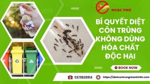 Bí quyết diệt côn trùng không dùng hóa chất độc hại