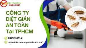 Công ty diệt gián an toàn tại tphcm