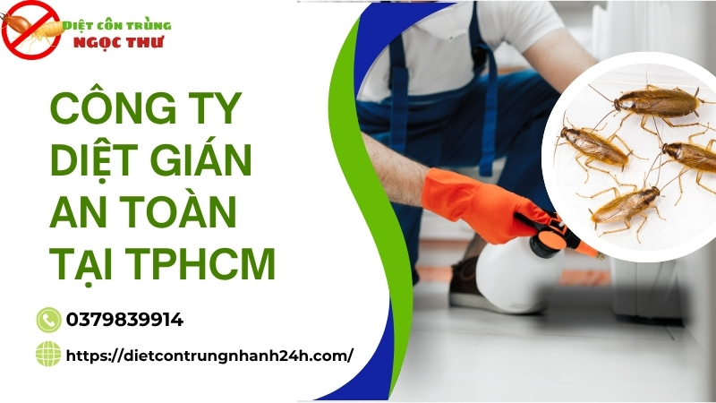 Công ty diệt gián an toàn tại tphcm