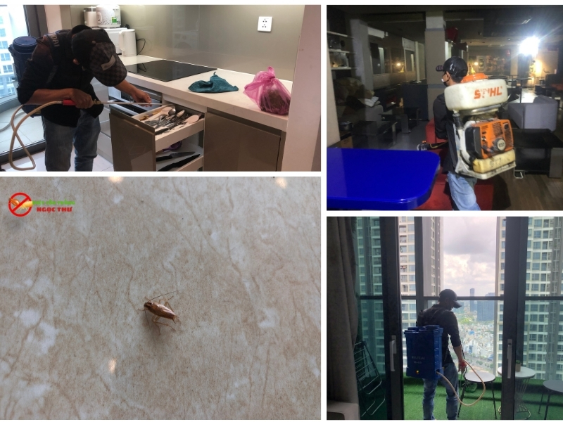 Diệt Gián Không Độc Hại Tại TPHCM Giá Rẻ - Công Ty Ngọc Thư 0379839914 2 Công ty diệt gián không độc hại tại TPHCM Ngọc Thư giá rẻ