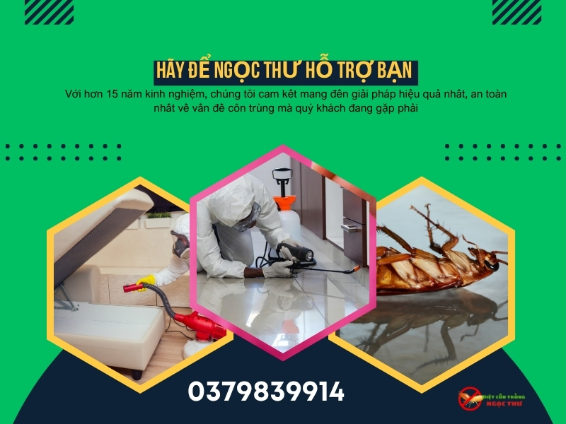 Diệt Gián Không Độc Hại Tại TPHCM Giá Rẻ - Công Ty Ngọc Thư 0379839914 3 Diệt gián không độc hại với hóa chất an toàn, không mùi