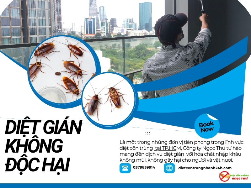 Diệt Gián Không Độc Hại Tại TPHCM Giá Rẻ - Công Ty Ngọc Thư 0379839914 4 Diệt gián không độc hại tại TPHCM cho nhà có vật nuôi