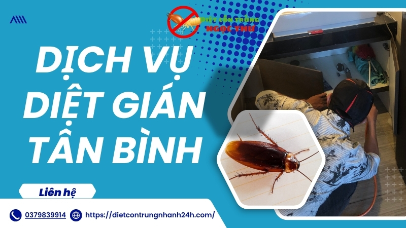 Diệt gián Tân Bình - Bí kíp sạch gián tận gốc! 1 Dịch vụ diệt gián Tân Bình Ngọc Thư