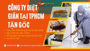 Công ty diệt gián TPHCM tận gốc Ngọc Thư