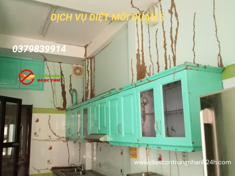 Dịch vụ diệt mối Quận 3 | Dịch vụ diệt côn trùng chuyên nghiệp, hiệu quả và an toàn 2 Diệt Mối quận 3 tận gốc