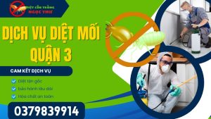 Dịch vụ diệt mối quận 3