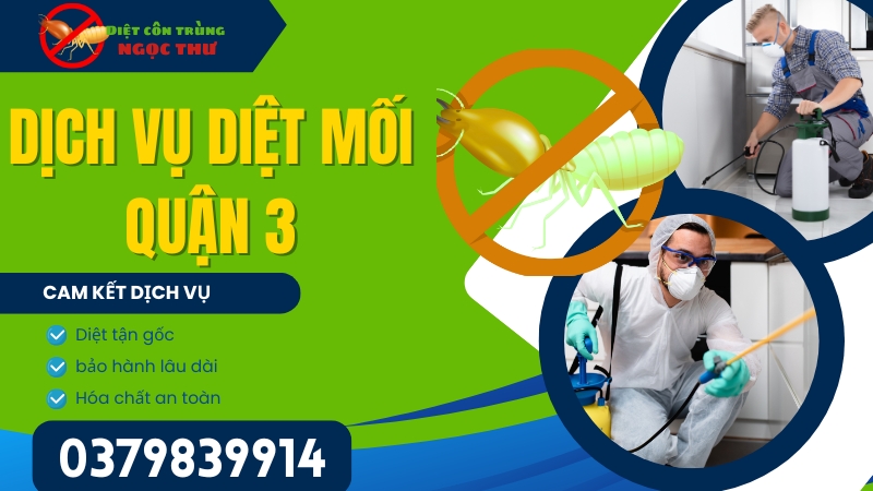 Dịch vụ diệt mối Quận 3 | Dịch vụ diệt côn trùng chuyên nghiệp, hiệu quả và an toàn 1 Dịch vụ diệt mối quận 3