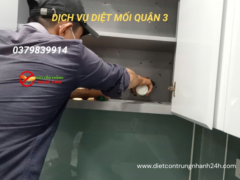 Quy trình diệt mối quận 3 Ngọc Thư
