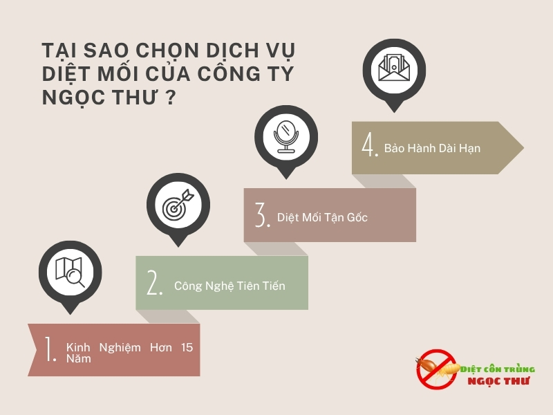Diệt Mối Tại Gò Vấp – Dịch Vụ Diệt Côn Trùng Tại TPHCM 7 Tại sao nên chọn Ngọc Thư