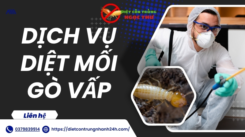 Diệt Mối Tại Gò Vấp – Dịch Vụ Diệt Côn Trùng Tại TPHCM 1 Dịch vụ diệt mối tại Gò Vấp
