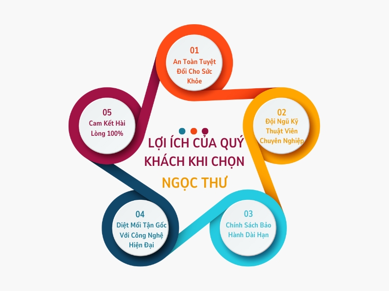 Diệt Mối Tại Gò Vấp – Dịch Vụ Diệt Côn Trùng Tại TPHCM 4 Lợi ích khi lựa chọn Ngọc Thư
