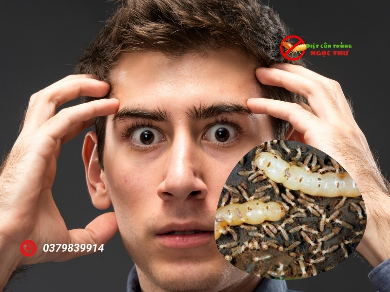 Nỗi sợ hãi của doanh nghiệp và gia đình đối với mối