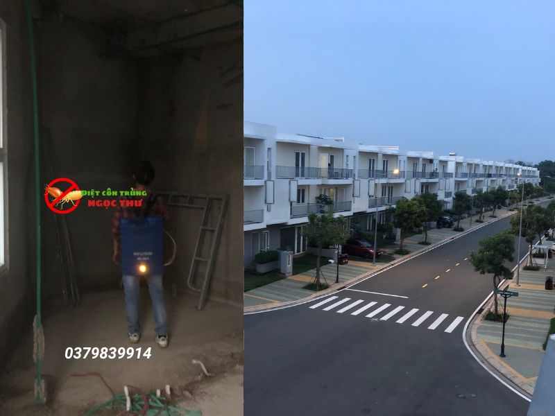 Phòng chống mối cho công trình xây dựng, bảo hành lên đến 10 năm