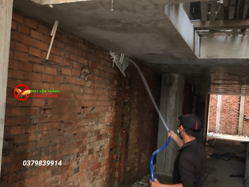 Phòng chống mối cho công trình xây dựng, công ty diệt côn trùng ngọc thư