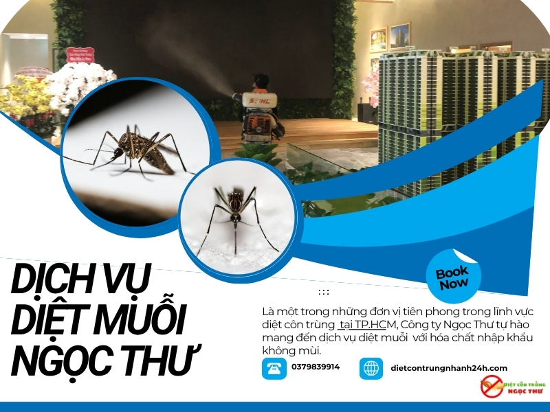 Dịch vụ phun thuốc diệt muỗi không mùi Ngọc Thư