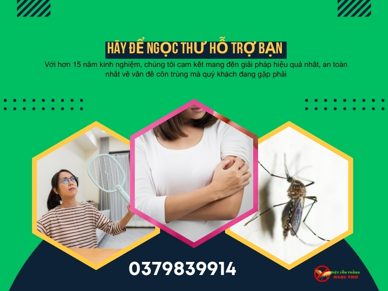 Dịch vụ phun thuốc diệt muỗi không mùi, hiệu quả cao