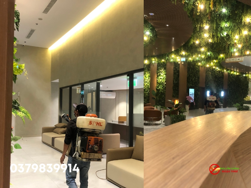 Phun Thuốc Diệt Muỗi Phòng Chống Sốt Xuất Huyết Tại TPHCM Cho Trường Học, Bệnh Viện 2 Phun thuốc diệt muỗi phòng chống sốt xuất huyết tại tphcm từ dịch vụ diệt côn trùng Ngọc Thư