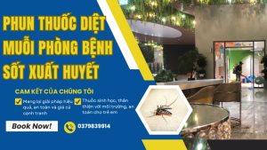 Dịch vụ phun thuốc diệt muỗi phòng chống sốt xuất huyết tại TPHCM