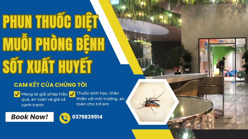 Phun Thuốc Diệt Muỗi Phòng Chống Sốt Xuất Huyết Tại TPHCM Cho Trường Học, Bệnh Viện 1 Dịch vụ phun thuốc diệt muỗi phòng chống sốt xuất huyết tại TPHCM