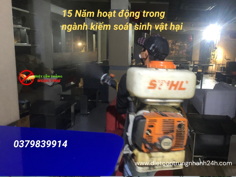 Phun Thuốc Muỗi Quận Phú Nhuận - Dịch Vụ Diệt Côn Trùng, Hiệu Quả 100% 🦟 2 Phun thuốc muỗi quận phú nhuận từ ngọc thư