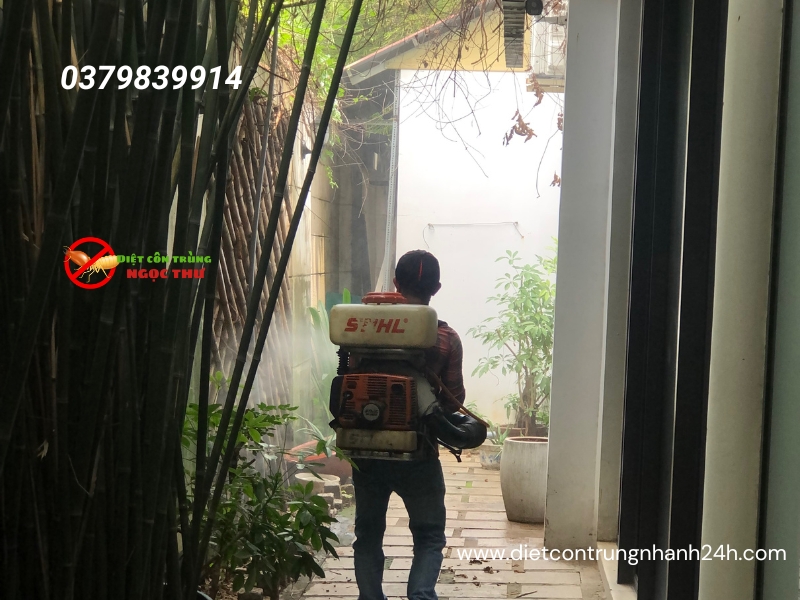 Phun thuốc muỗi và côn trùng tại quận Tân Bình uy tín, giá rẻ từ diệt côn trùng Ngọc Thư