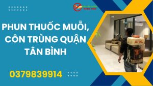 Phun thuốc muỗi, côn trùng quận Tân Bình giá rẻ