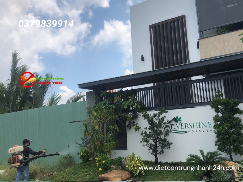 Dịch vụ phun thuốc muỗi và côn trùng tại quận Tân Bình uy tín, giá rẻ từ công ty diệt côn trùng Ngọc Thư
