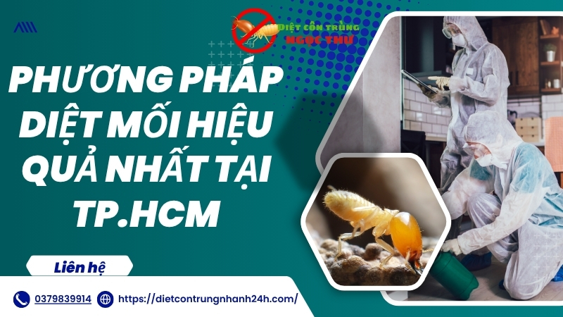 Phương pháp diệt mối hiệu quả nhất tphcm ngọc thư