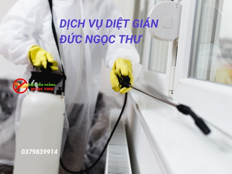 Tại Sao Gián Đức Khó Diệt Tận Gốc? Phân Tích Chi Tiết Về Loài Côn Trùng Cứng Đầu 4 Dịch vụ diệt gián Đức - Ngọc Thư