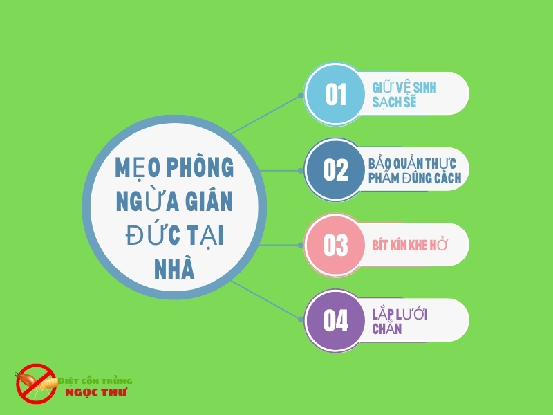 Tại Sao Gián Đức Khó Diệt Tận Gốc? Phân Tích Chi Tiết Về Loài Côn Trùng Cứng Đầu 3 Mẹo phòng ngừa gián Đức tại nhà