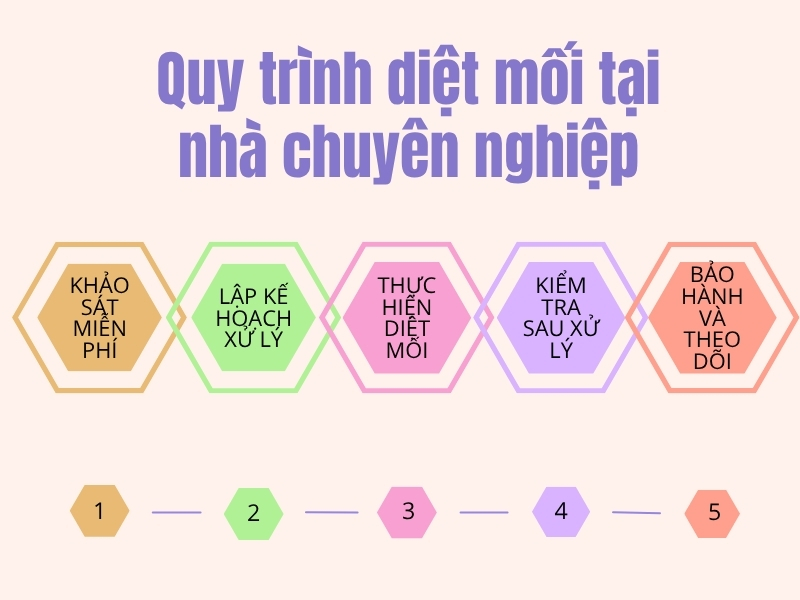 Quy trình diệt mối tận gốc tại nhà
