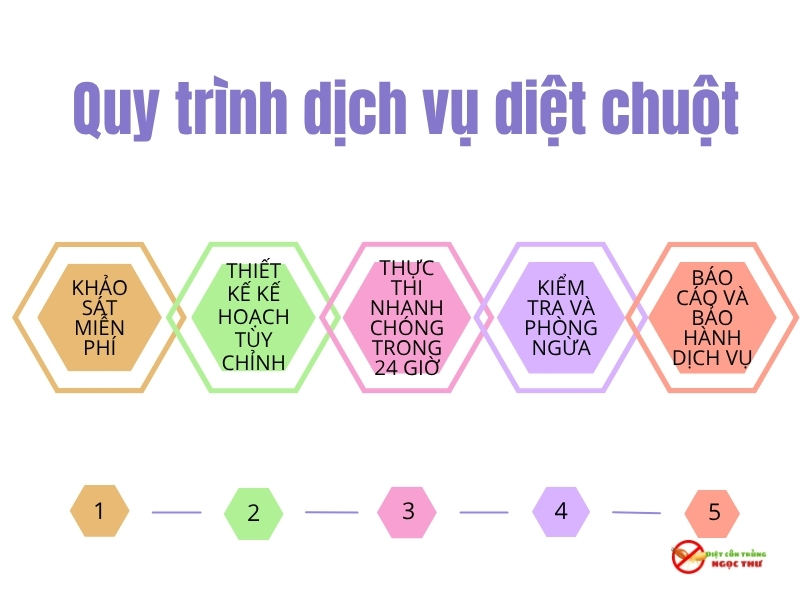 Quy trình dịch vụ diệt chuột cho nhà xưởng tại Bình Dương