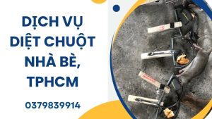 Dịch vụ diệt chuột tại nhà bè, TPHCM