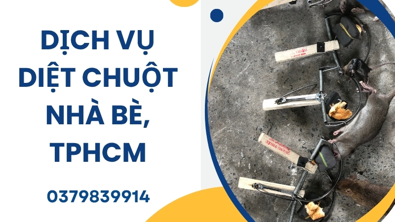 Dịch vụ diệt chuột Nhà Bè - Công ty diệt côn trùng tại TPHCM 1 Dịch vụ diệt chuột tại nhà bè, TPHCM