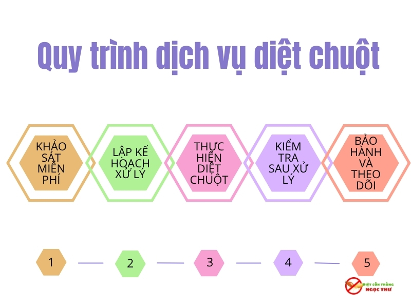 Dịch vụ diệt chuột Nhà Bè - Công ty diệt côn trùng tại TPHCM 4 Quy trình dịch vụ diệt chuột nhà bè của Ngọc Thư