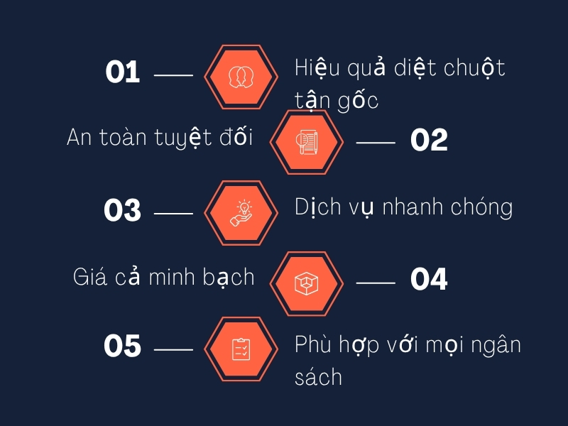 Dịch vụ diệt chuột Nhà Bè - Công ty diệt côn trùng tại TPHCM 2 Cam kết về dịch vụ diệt chuột nhà bè của Ngọc Thư