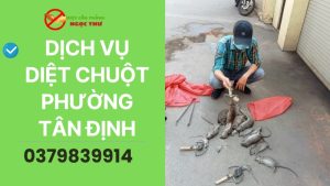 Dịch vụ diệt chuột phường Tân Định, TPHCM