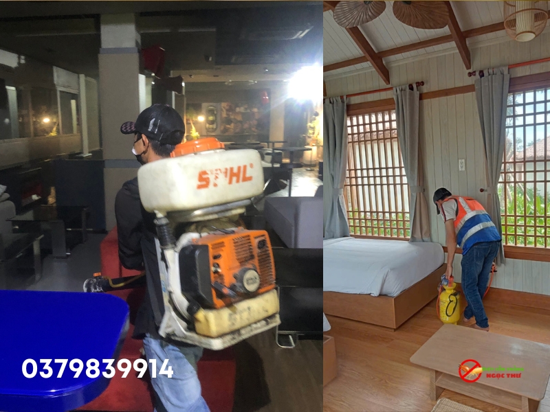 Công ty dịch vụ diệt côn trùng tại Bình Dương, an toàn, hiệu quả