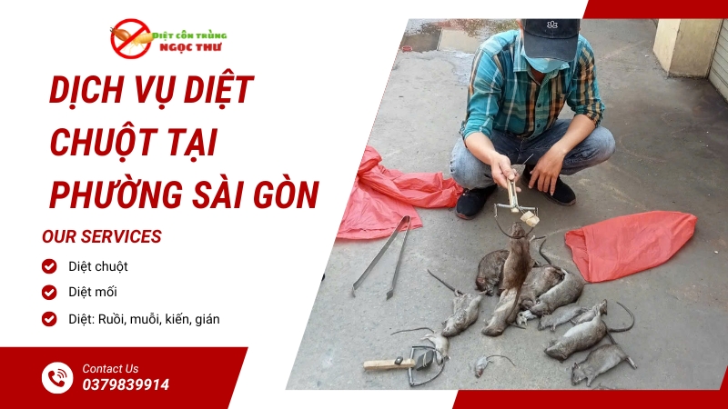 Dịch Vụ Diệt Chuột Tại Phường Sài Gòn, Đơn Vị Diệt Chuột Chuyên Nghiệp Tại TP.HCM 1 Dịch vụ diệt chuột tại phường Sài Gòn, TP.HCM