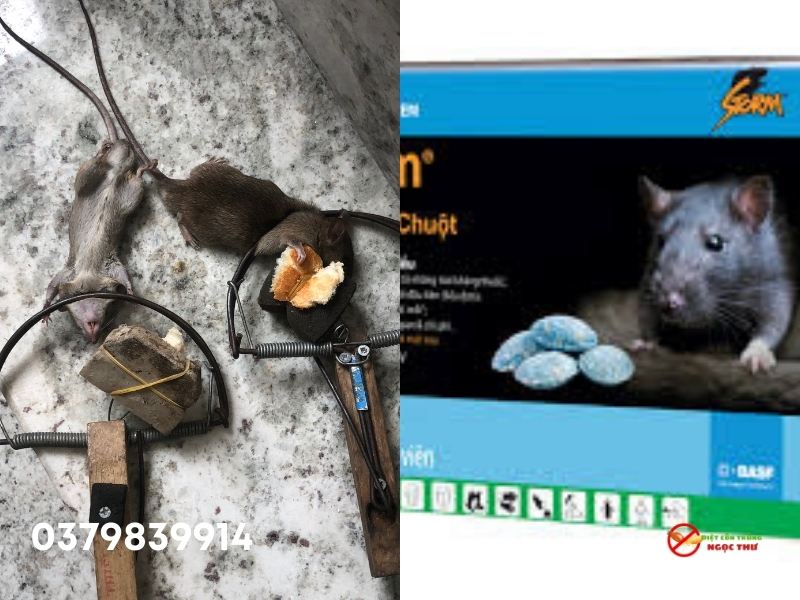 Dịch Vụ Diệt Chuột Tại Phường Sài Gòn, Đơn Vị Diệt Chuột Chuyên Nghiệp Tại TP.HCM 5 Dịch vụ diệt chuột tại phường Sài Gòn, diệt chuột tận gốc, Hóa chất an toàn